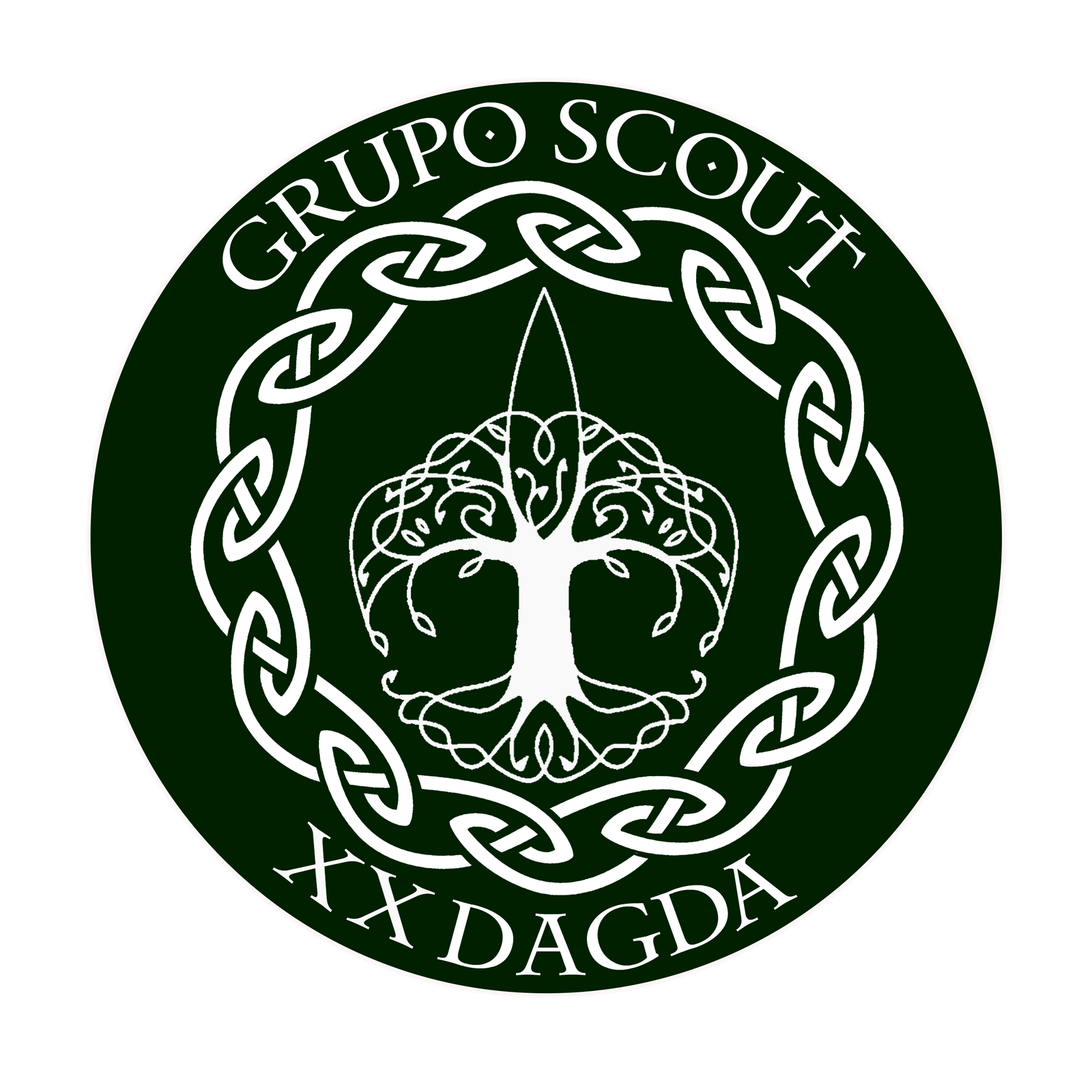 Grupo scout 20 dagda